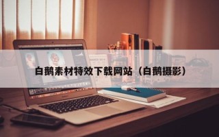 重庆白鹅素材特效下载网站（白鹅摄影）